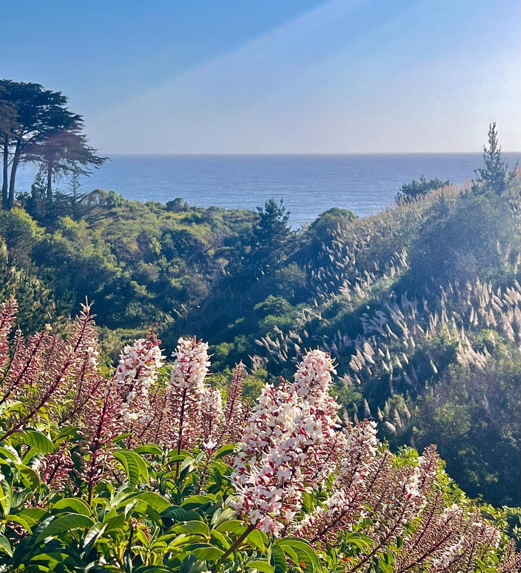 Royal Villa - Ocean View - Heated Pools - Seascape'S Best 1 Bedroom - 3 Beds - End Unit Aptos Eksteriør billede